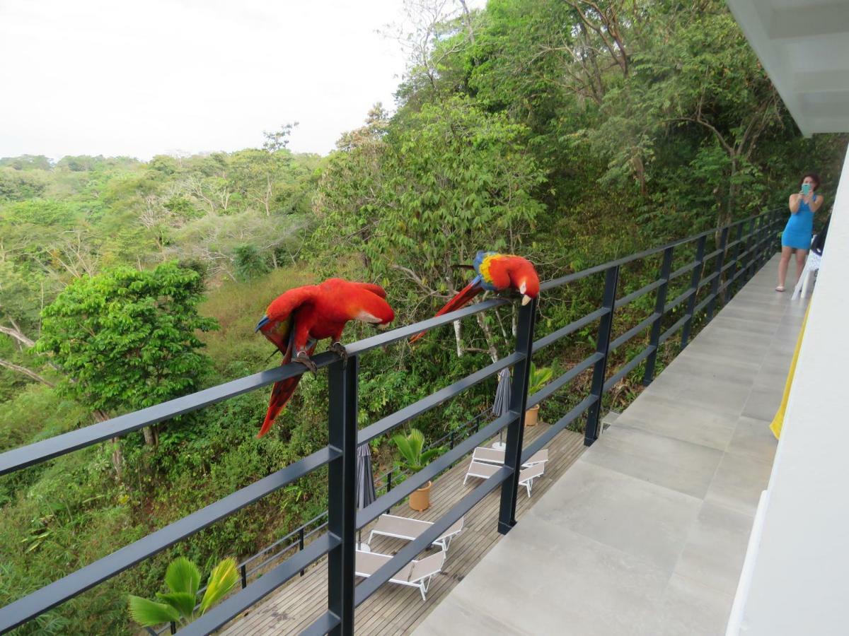 La Maison Blanche Manuel Antonio Zewnętrze zdjęcie