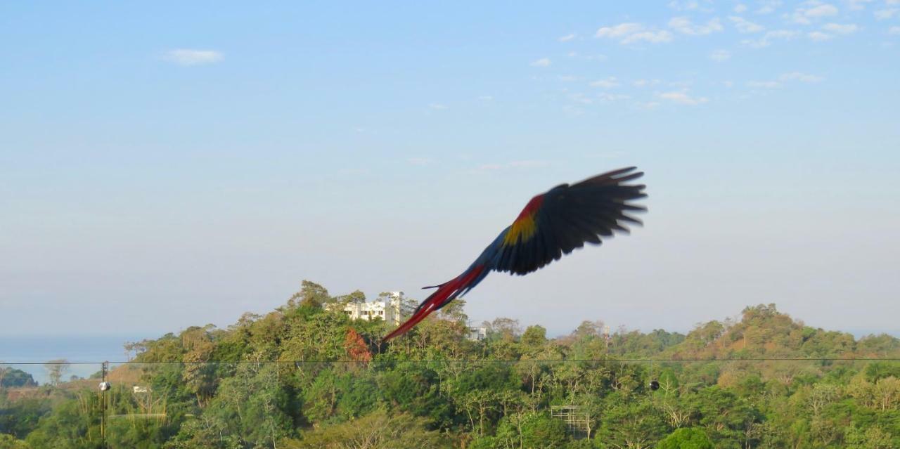 La Maison Blanche Manuel Antonio Zewnętrze zdjęcie